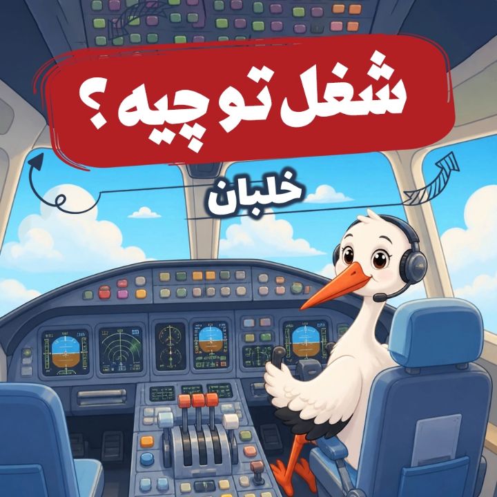 خلبان «مگ‌پگ كمك‌خلبان»        