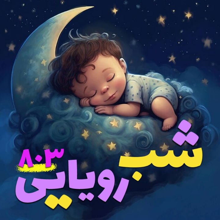 شب رویایی 803 