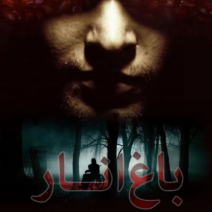 باغ انار