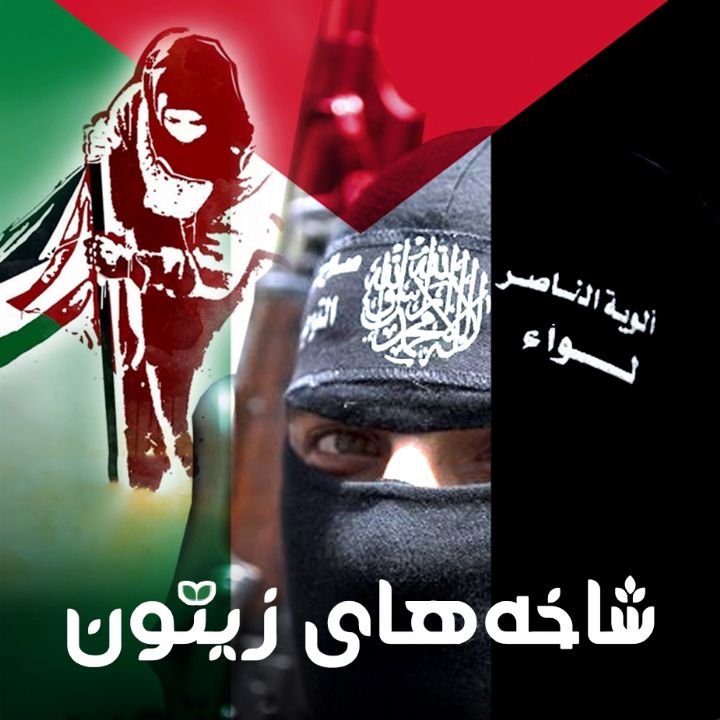 شاخه های زیتون