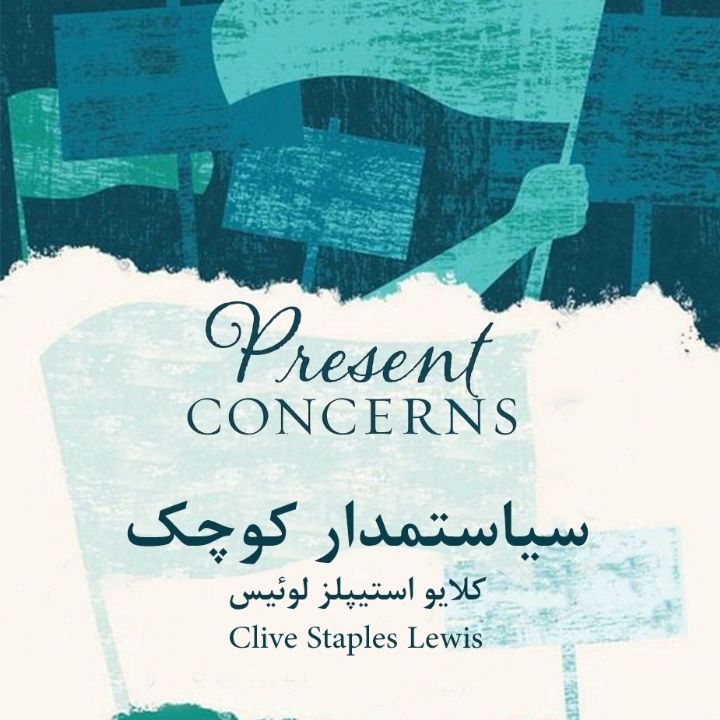 سیاستمدار كوچك