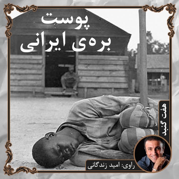 پوست بره ی ایرانی