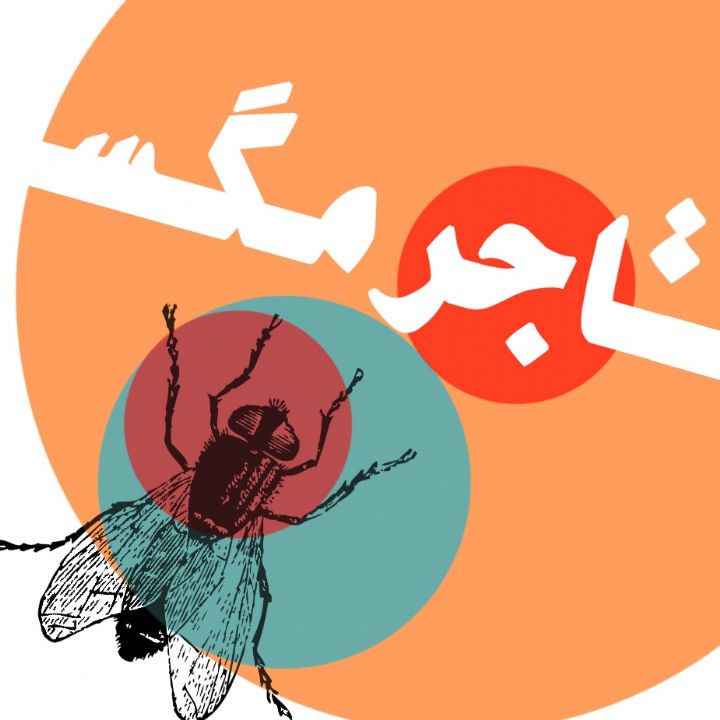تاجر مگس 