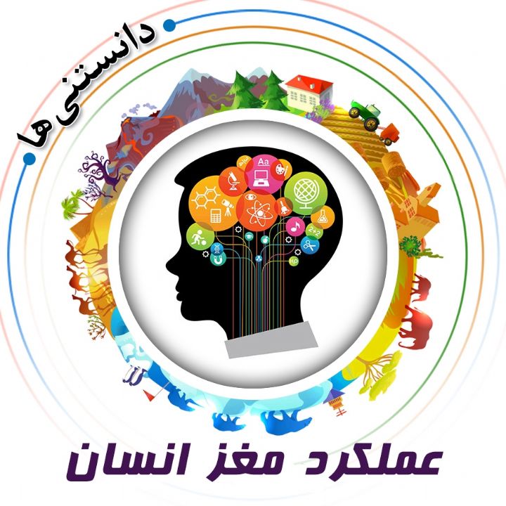 عملکرد مغز انسان