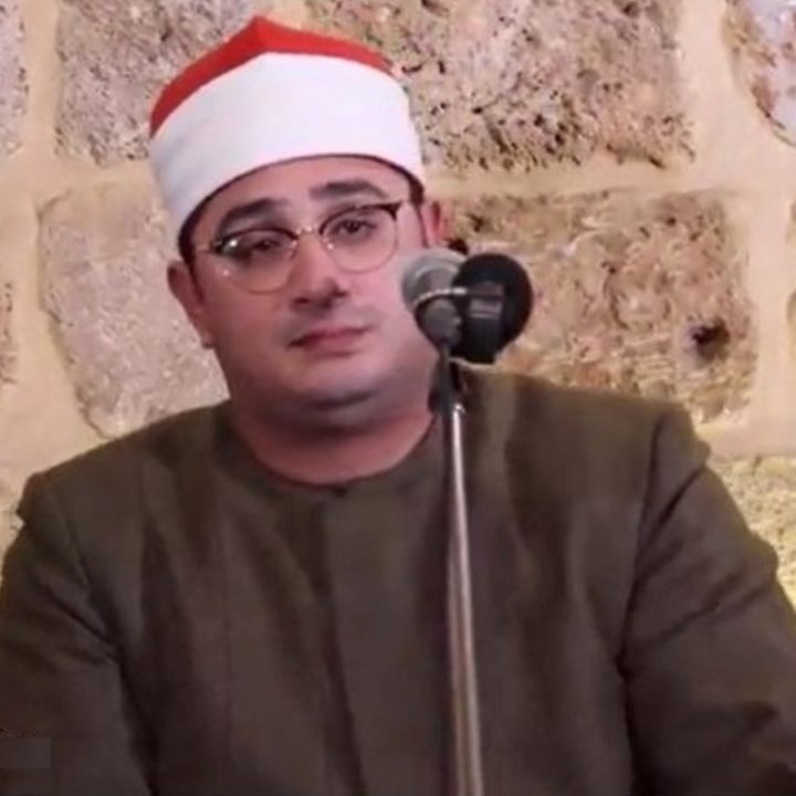 محمود شحات انور