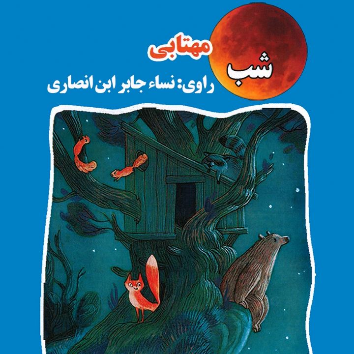 شب مهتابی