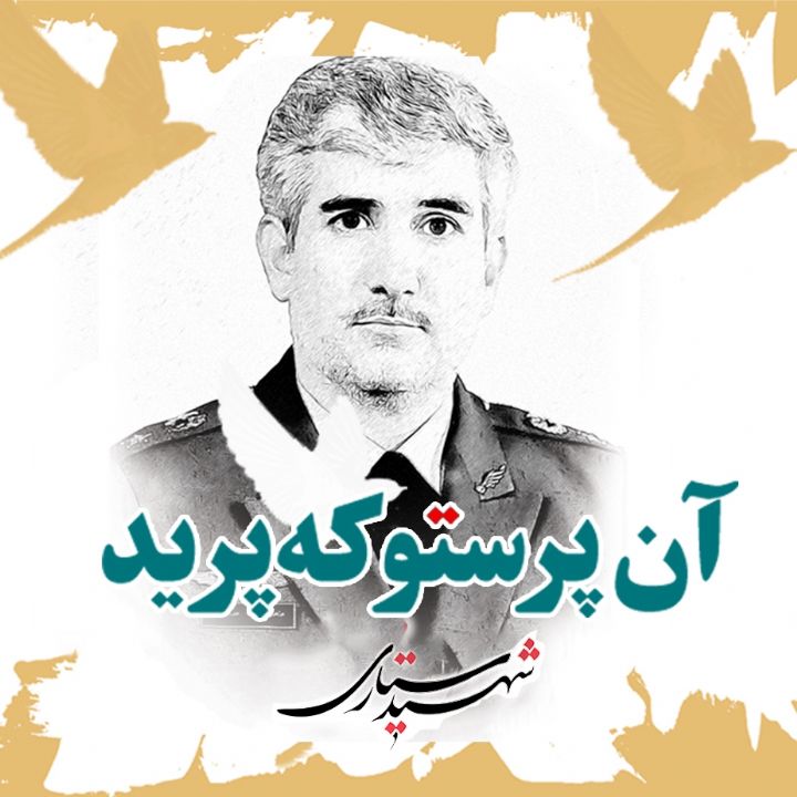 آن پرستو که پرید