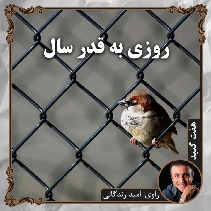 روزی به قدر سال