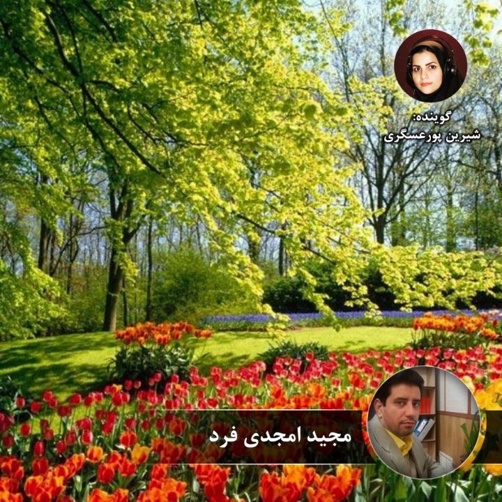 عیدانه