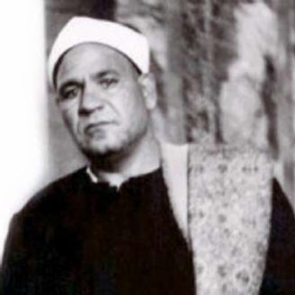 محمد ابوزید