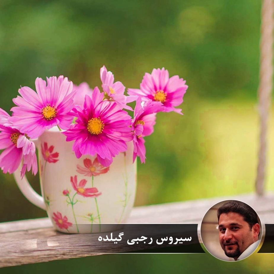 بازگشت