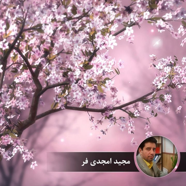 موج شكوفه