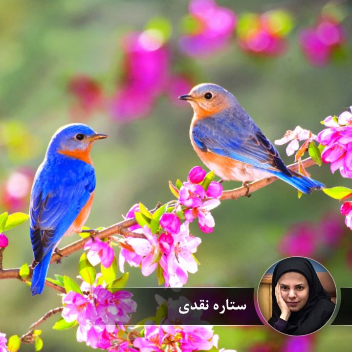 حال خوب بهار