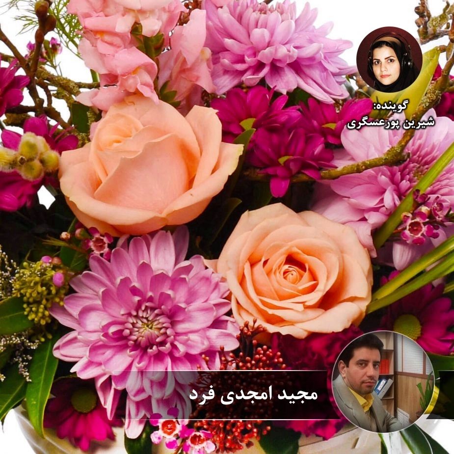 گلفام