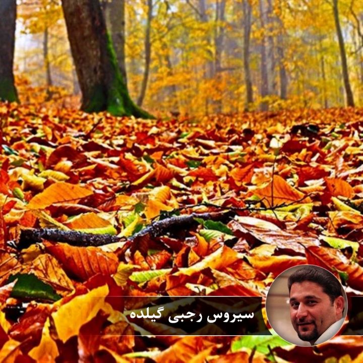 پاییز