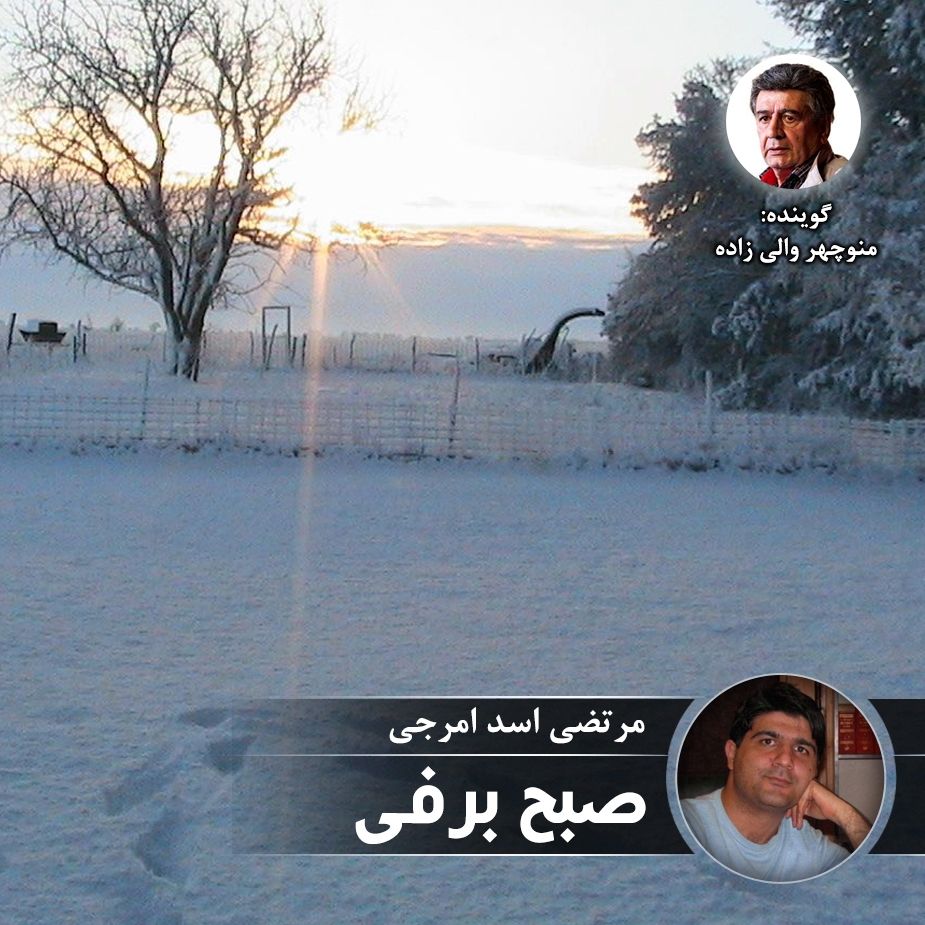 صبح برفی