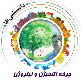 چرخه اكسیژن و نیتروژن