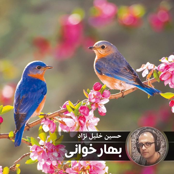 بهارخوانی