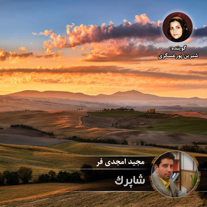 شاپرك