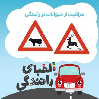 مراقبت از حیوانات در رانندگی