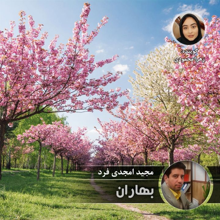 بهاران