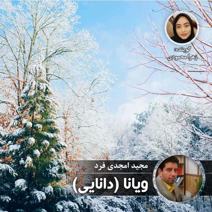 ویانا (دانایی)