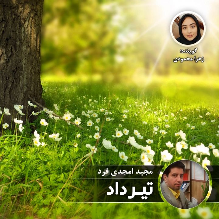 تیرداد