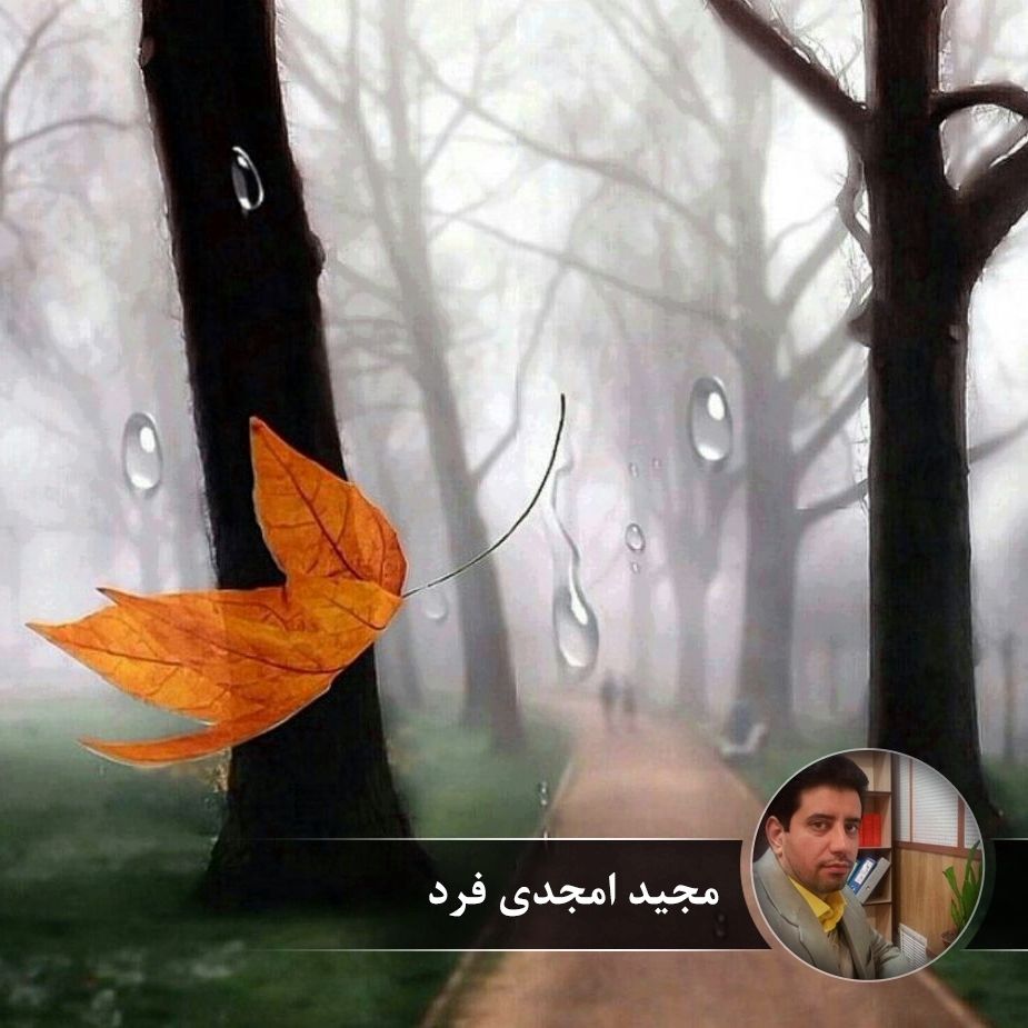 پلك ترانه