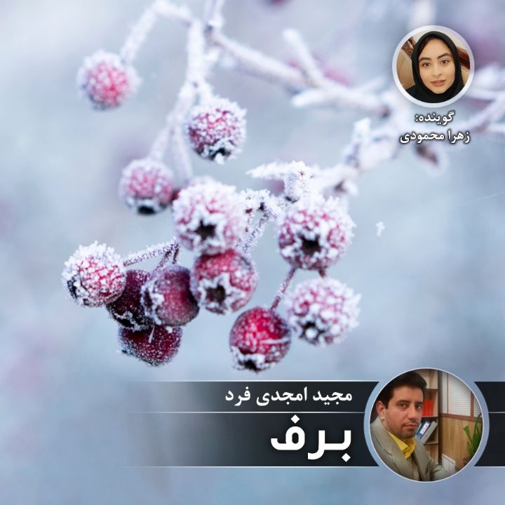 برف