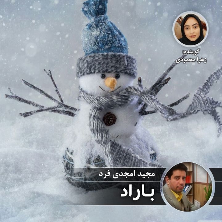 باراد