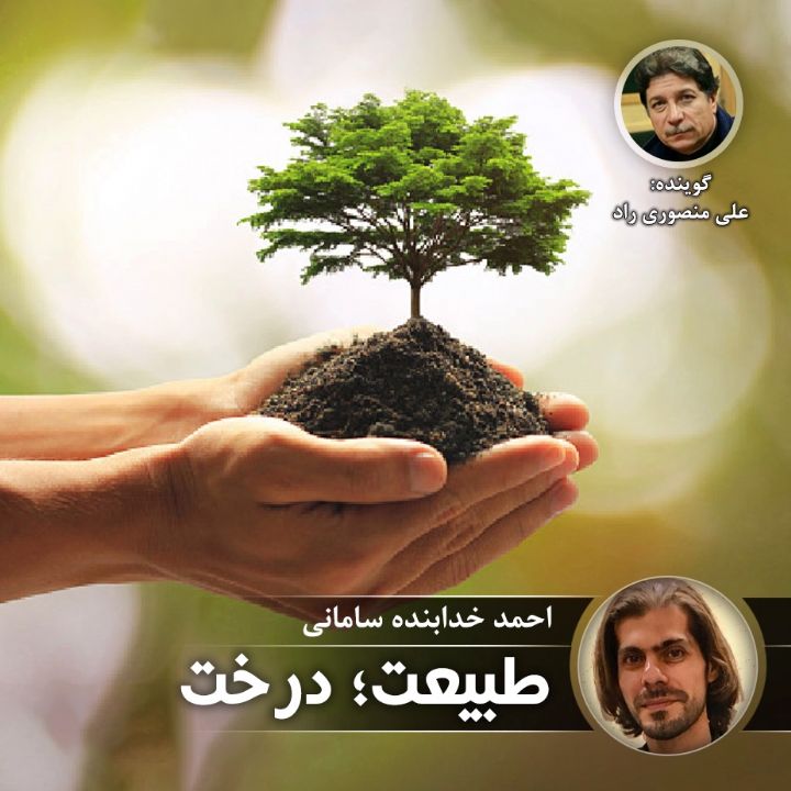 طبیعت ؛ درخت