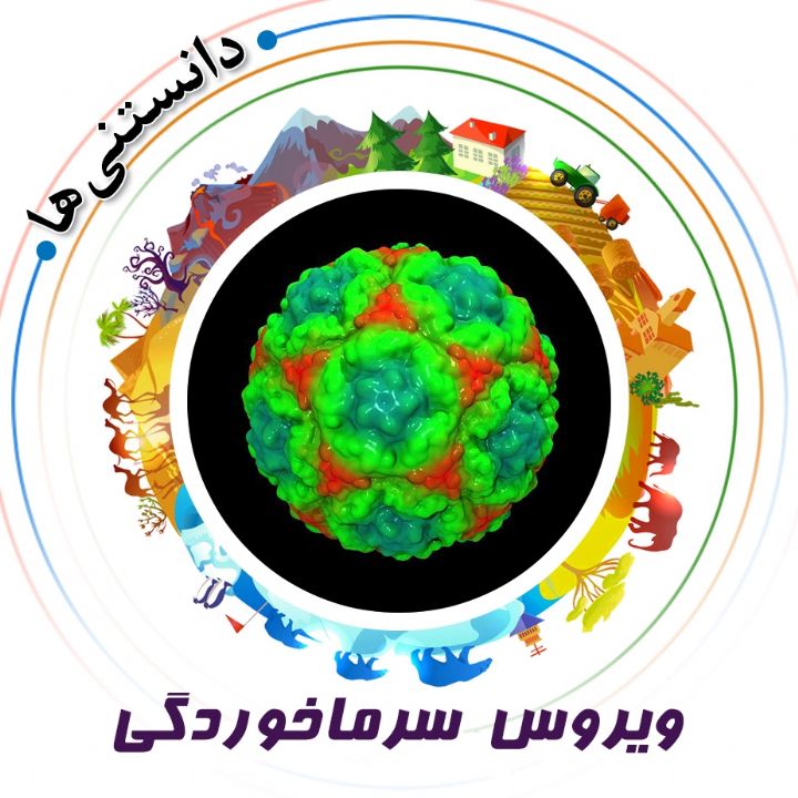 ویروس سرماخوردگی