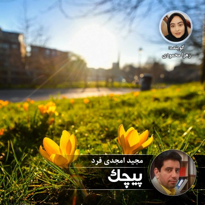 پیچك