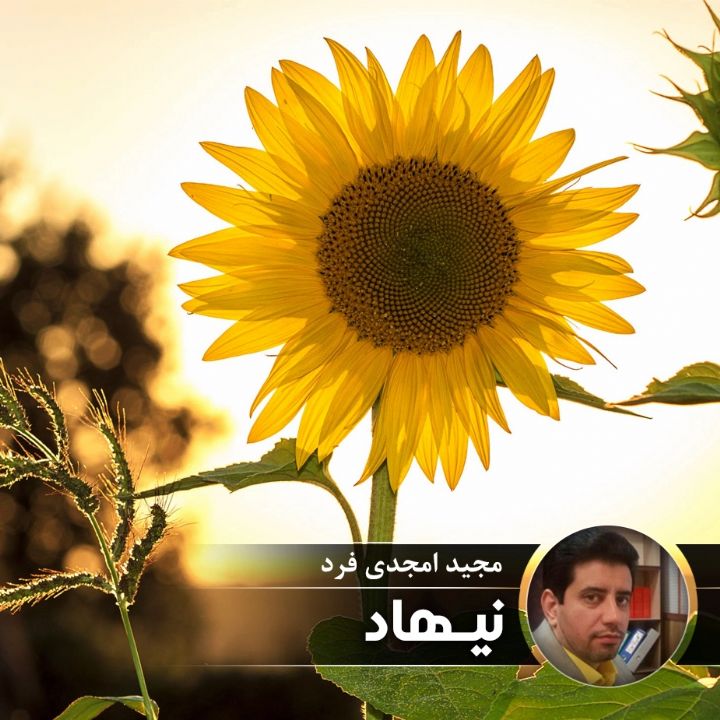 نیهاد