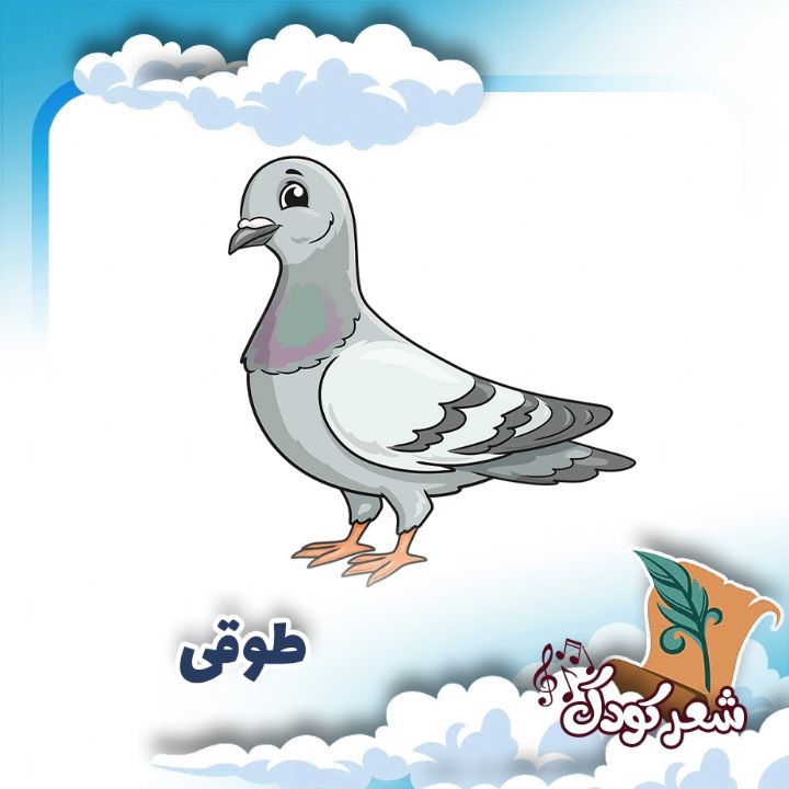 طوقی