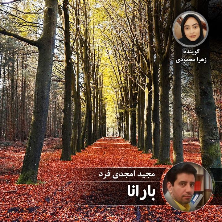 بارانا