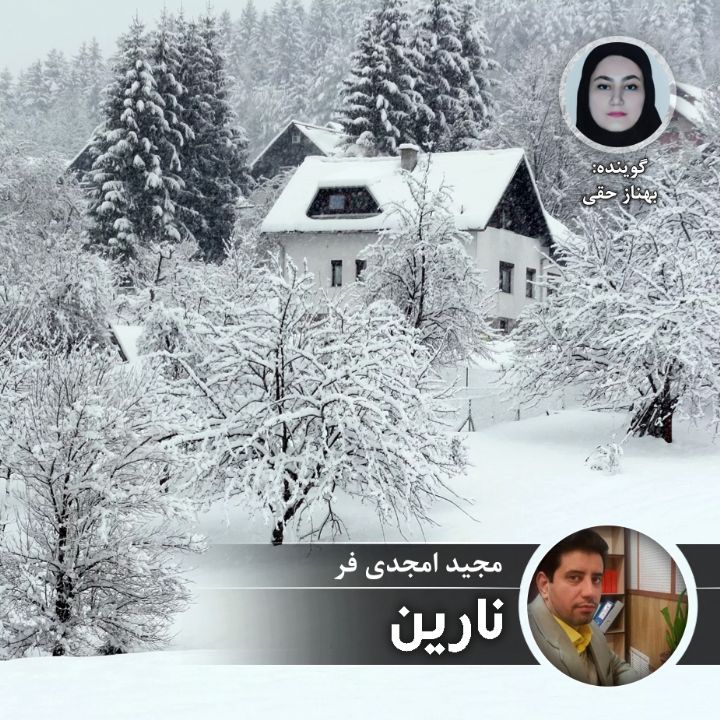 نارین