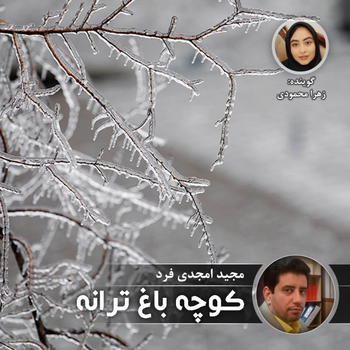 كوچه باغ ترانه