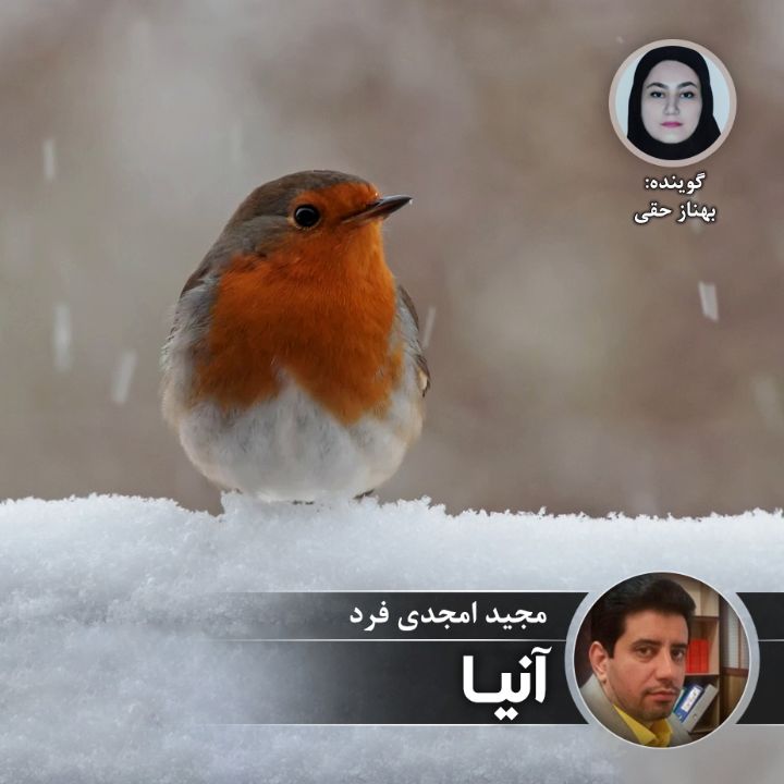 آنیا