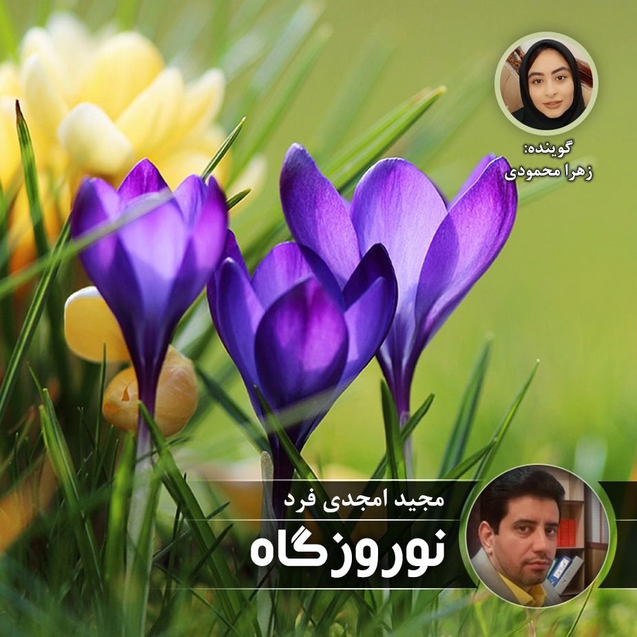 نوروزگاه