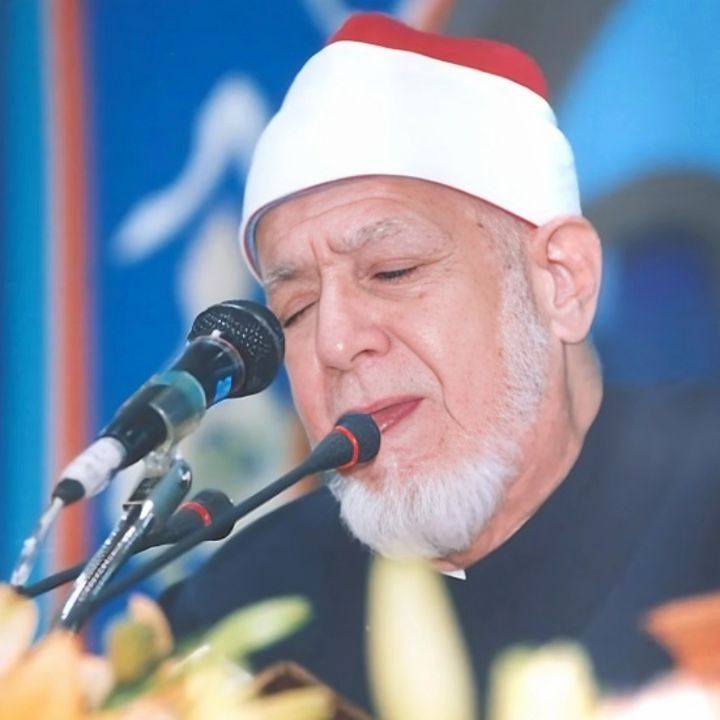 احمد محمد عامر