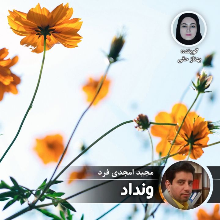 ونداد