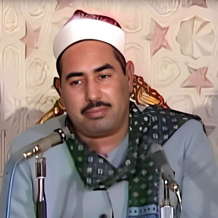 محمد محمود طبلاوی