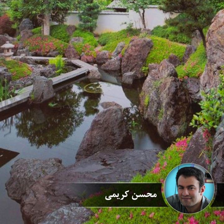 رنگ زندگی