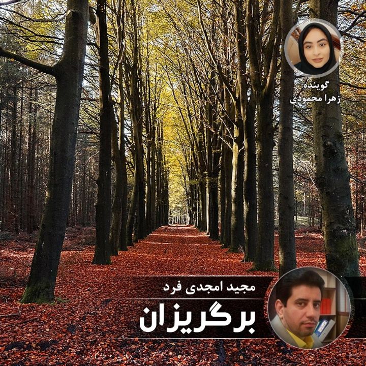 برگریزان