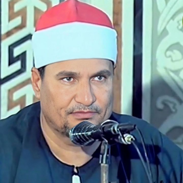 محمد طنطاوی