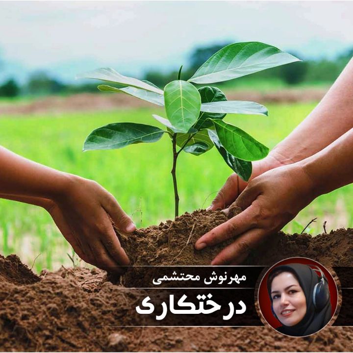 درختكاری