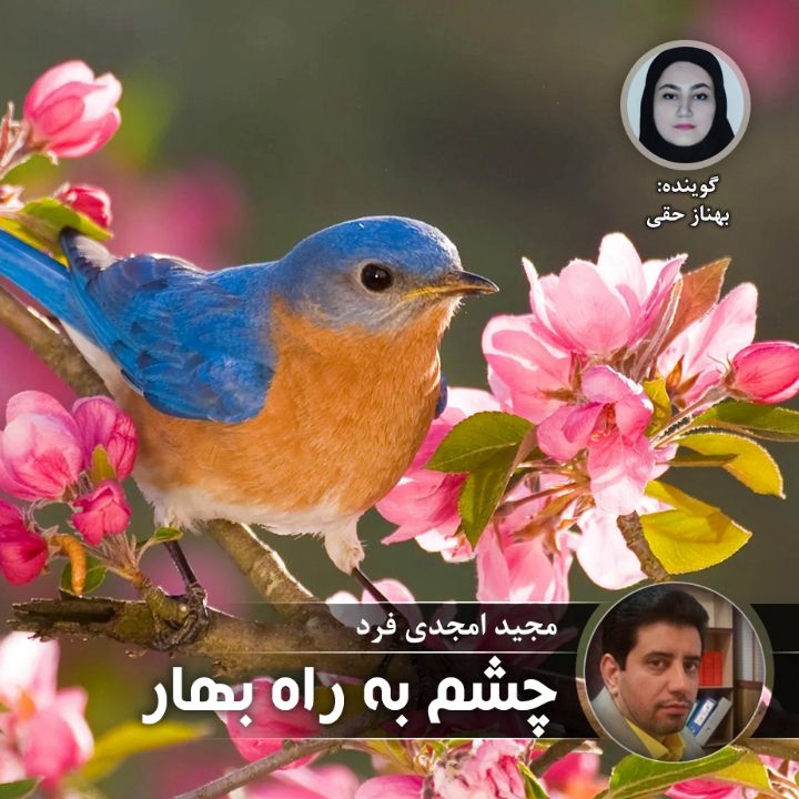 چشم به راه بهار