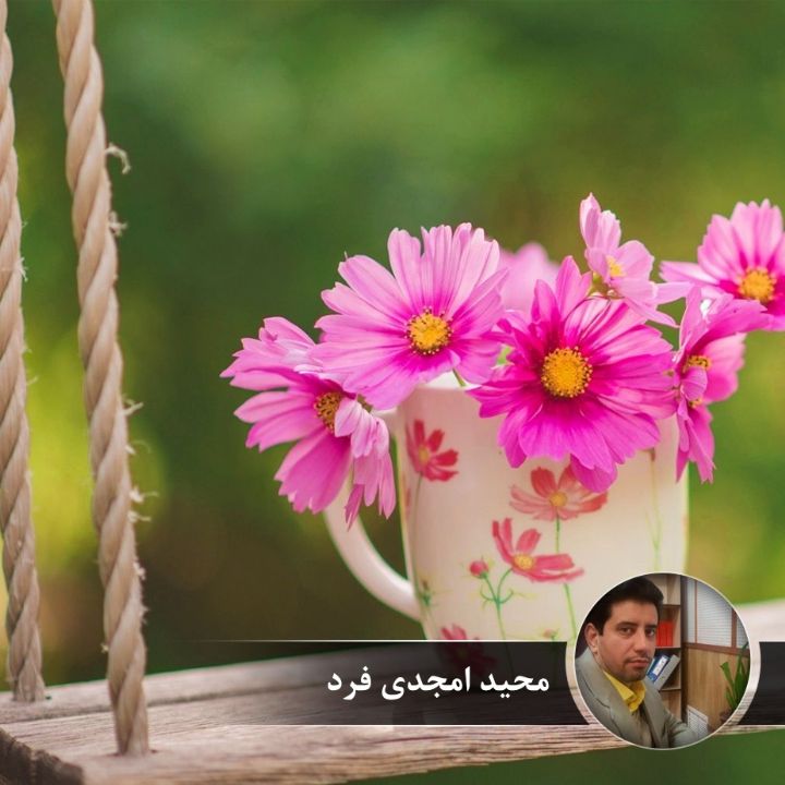 ترنم و ترانه