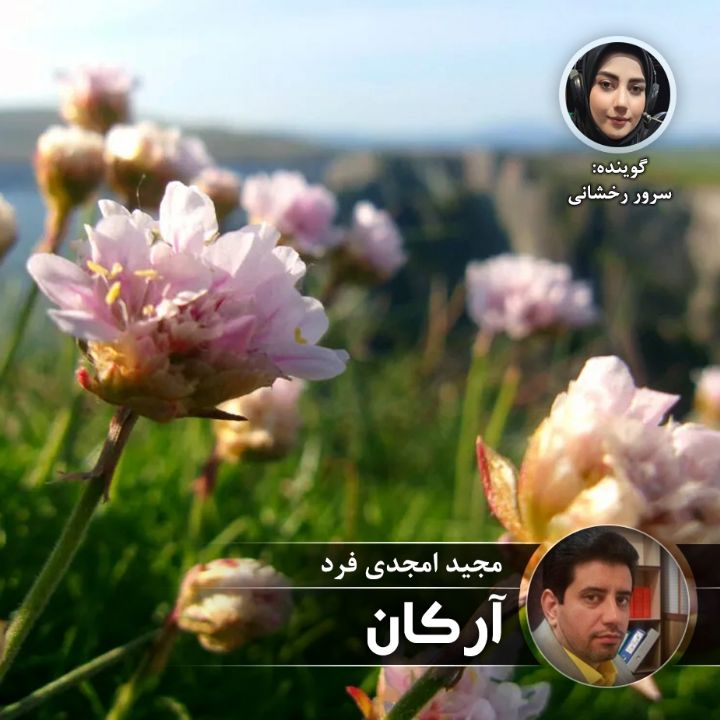 آركان